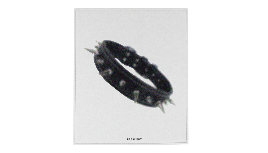 PRESCIENT SS26 ITALIAN LEATHER WHITE & BLACK TO-GO POUCH